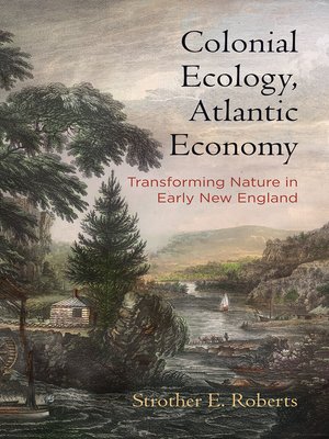 cover image of Colonial Ecology, Atlantic Economy